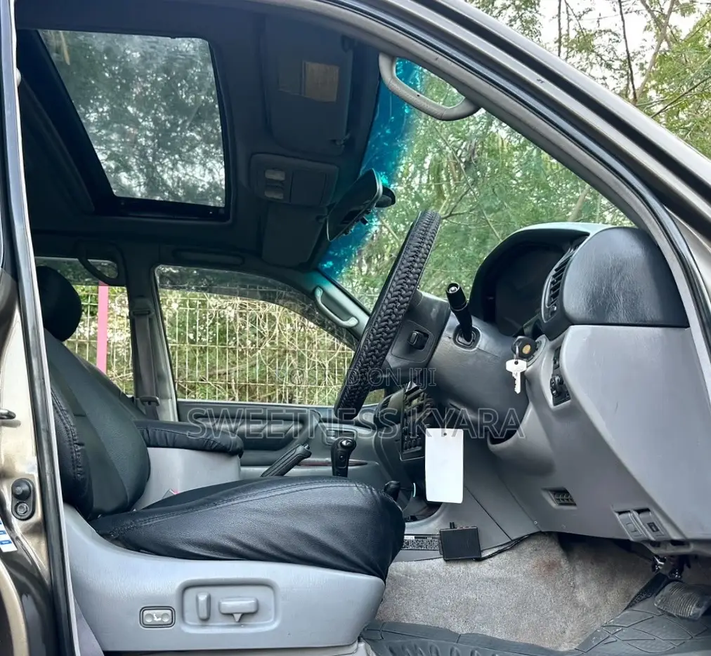 Toyota Land Cruiser 2001 Gray