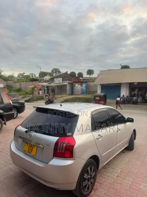 Toyota Allex 2003 Silver