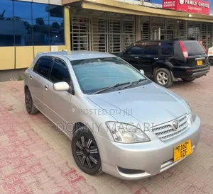 Toyota Allex 2003 Silver