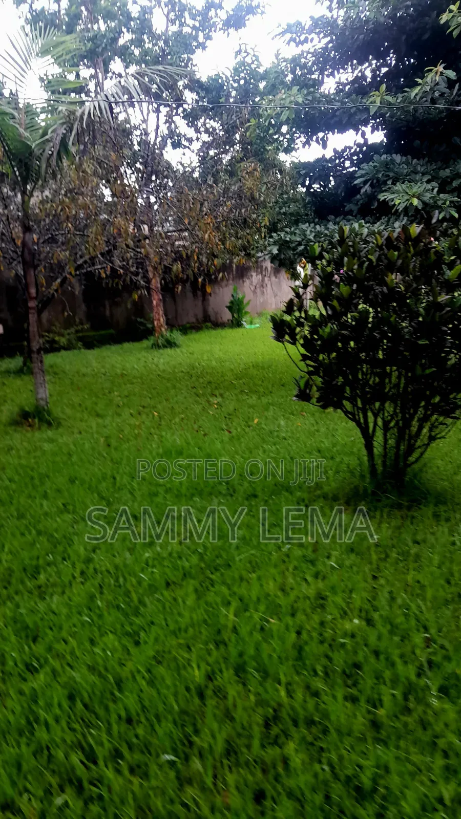 4bdrm Mansion in Sammysaidrealestate, Moshono for rent