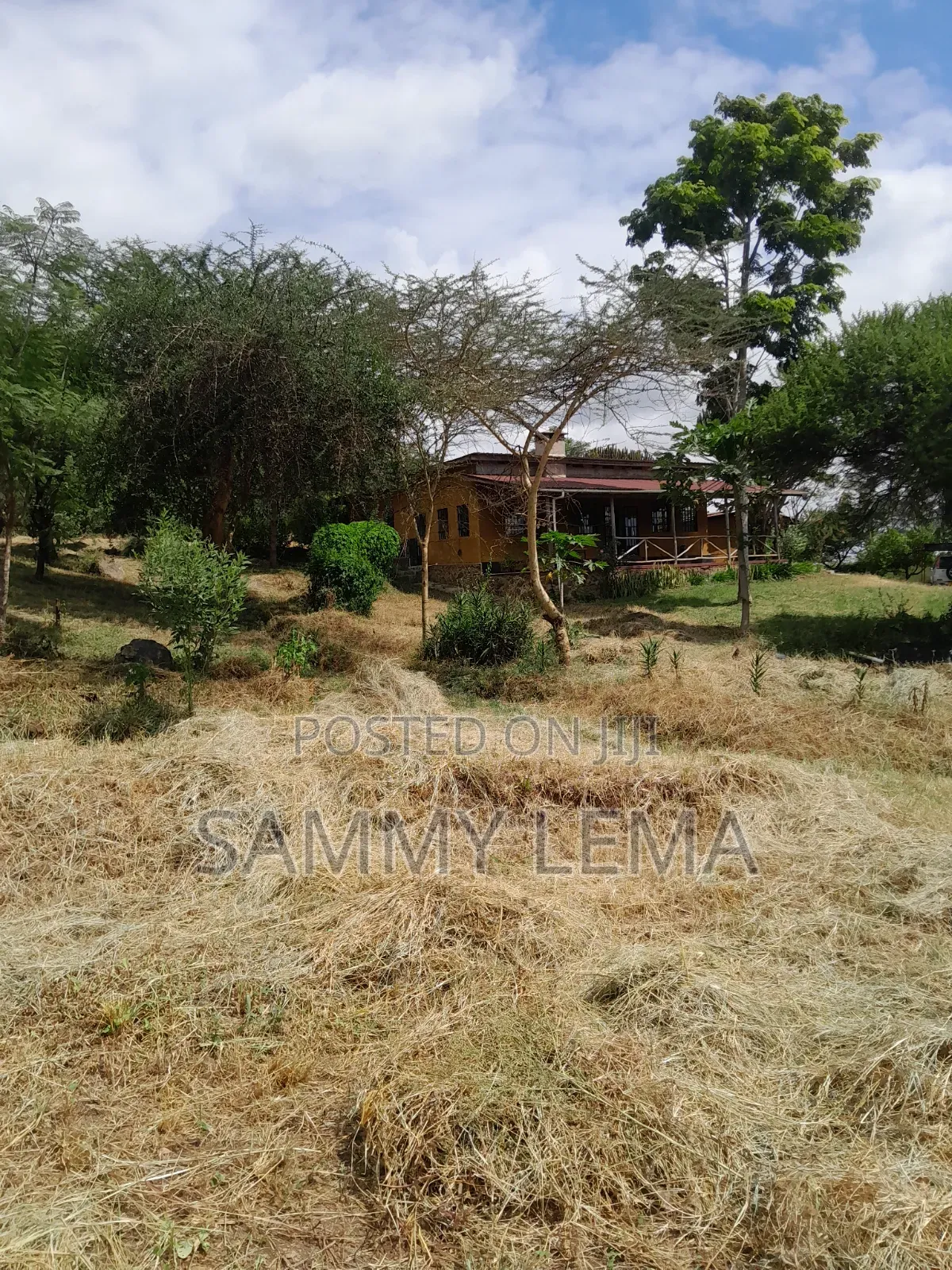 5bdrm Farm House in Sammy Saidy Real, Mateves for sale