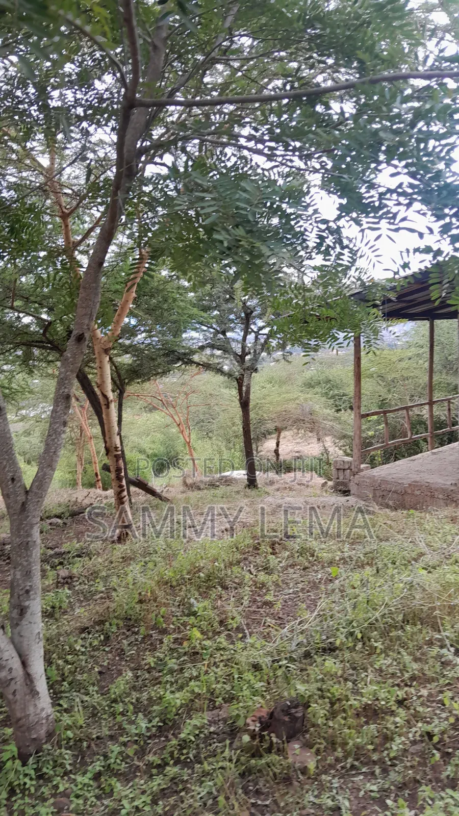 5bdrm Farm House in Sammy Saidy Real, Mateves for sale