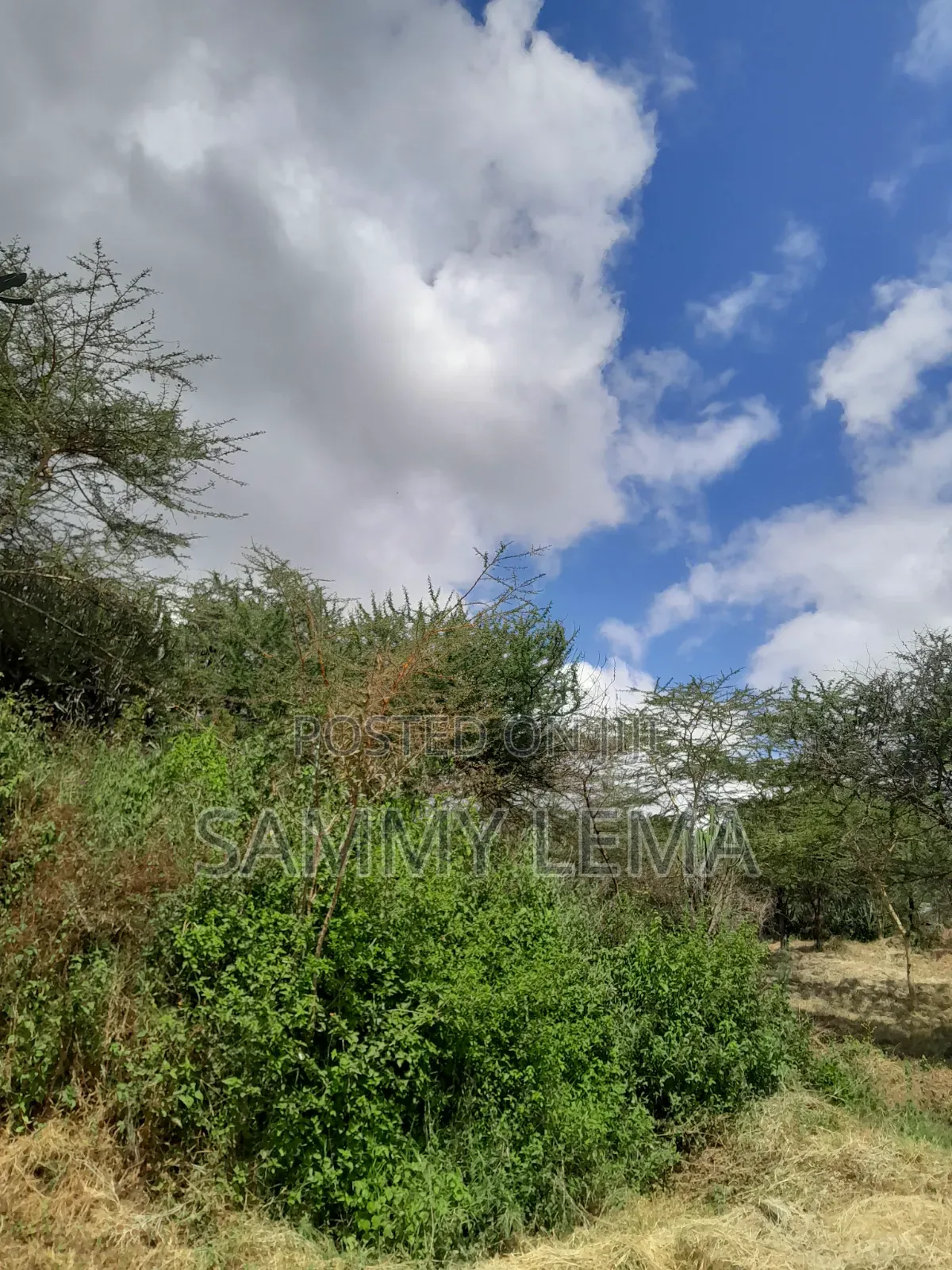 5bdrm Farm House in Sammy Saidy Real, Mateves for sale
