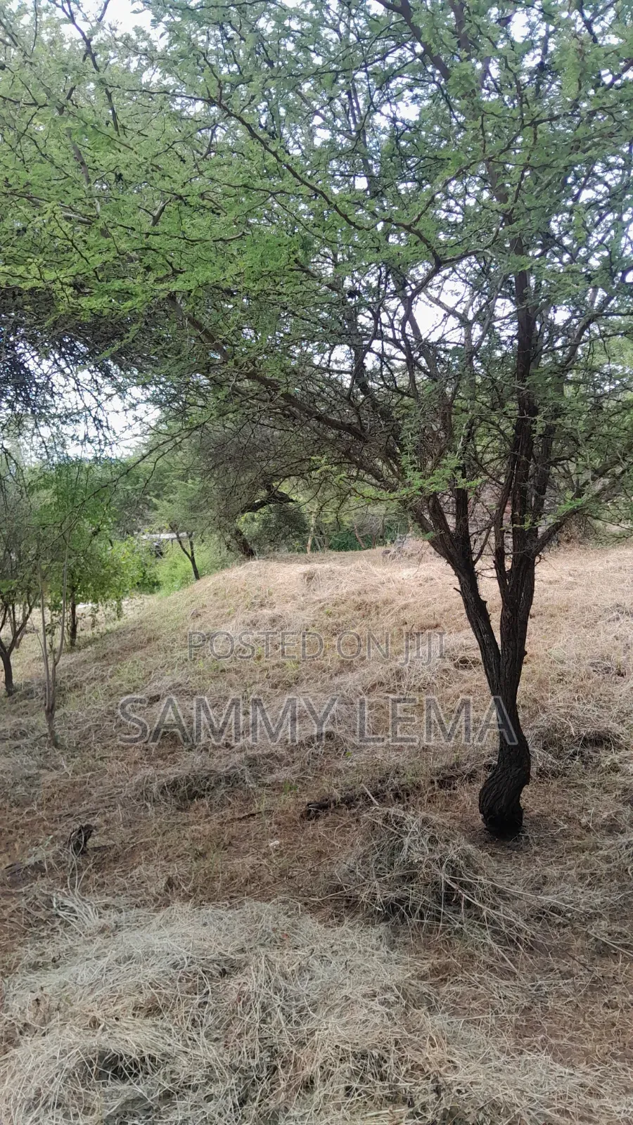 5bdrm Farm House in Sammy Saidy Real, Mateves for sale