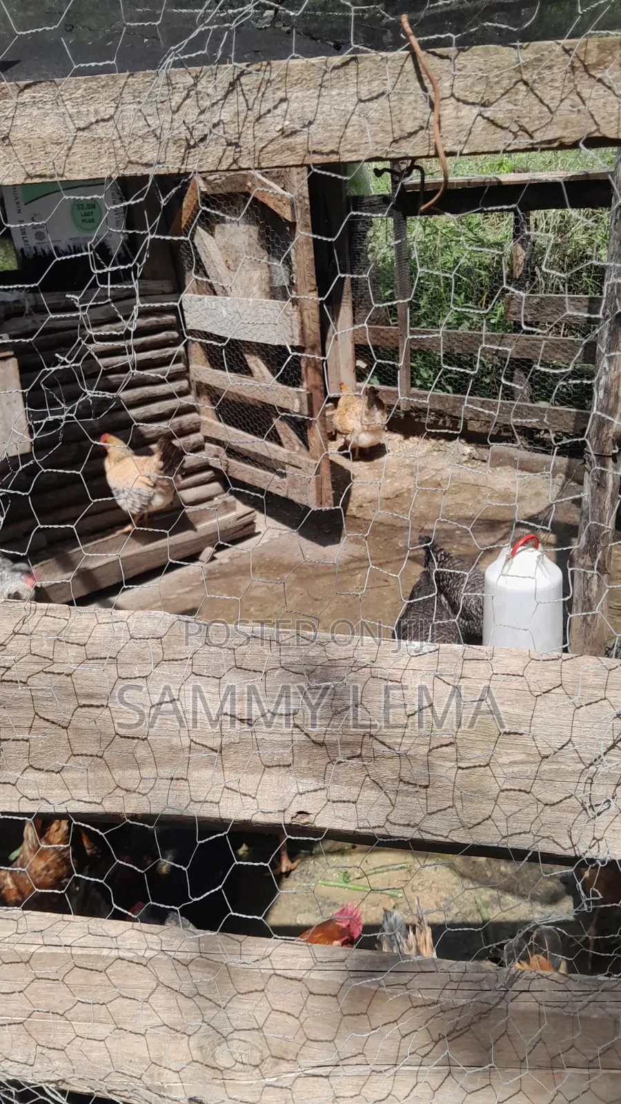 5bdrm Farm House in Sammy Saidy Real, Mateves for sale