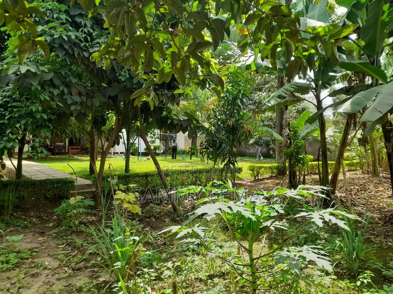 5bdrm Bungalow in Sammy Saidy, Njiro for rent