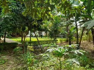 5bdrm Bungalow in Sammy Saidy, Njiro for rent