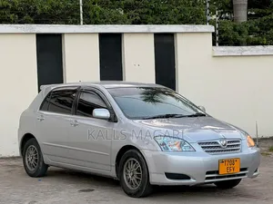Toyota Allex 2004 Silver