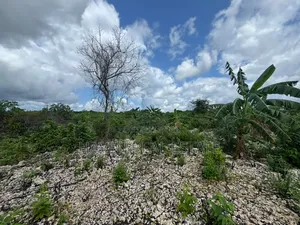 Beach Plot for Sale at Zanzibar
