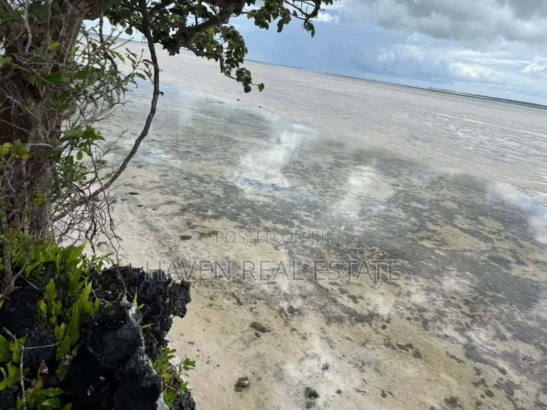 Beach Plot for Sale at Zanzibar