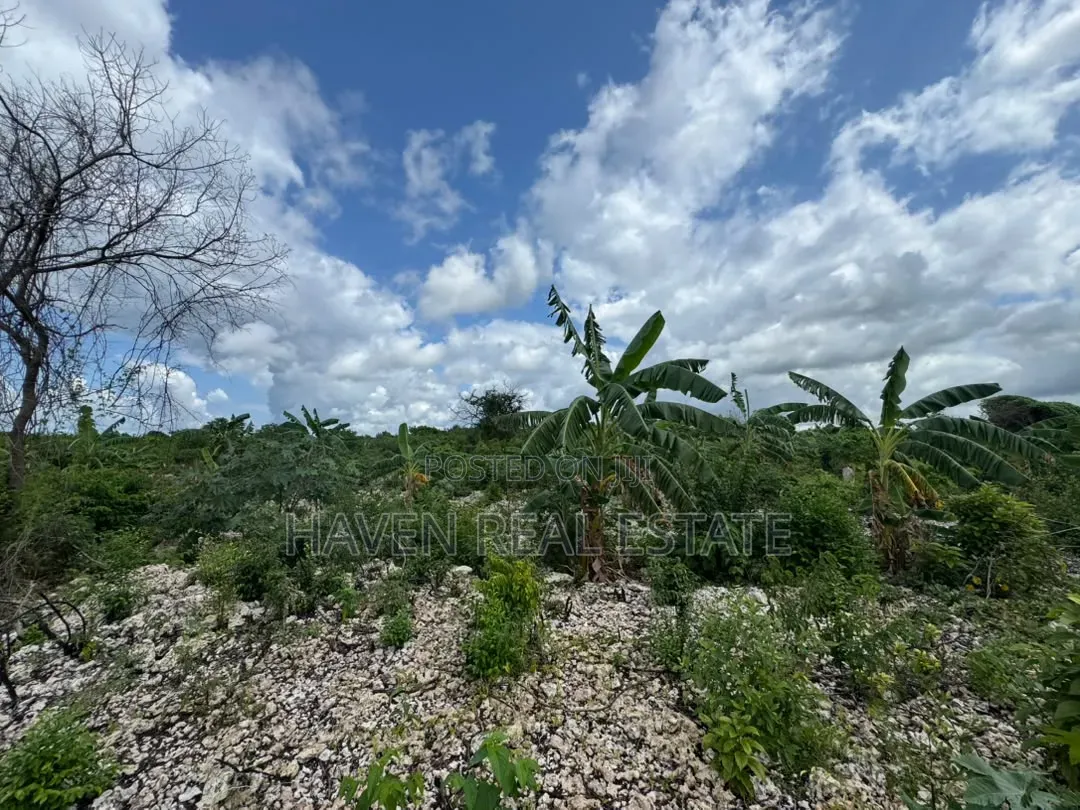 Beach Plot for Sale at Zanzibar