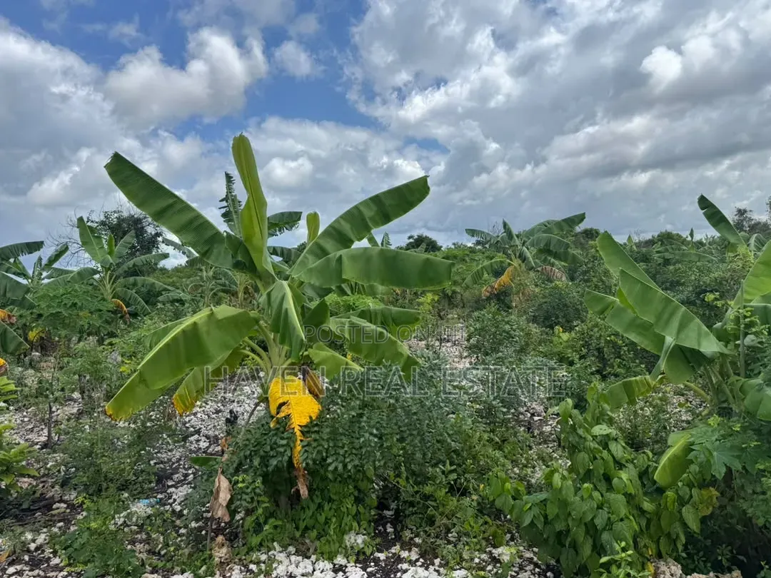 Beach Plot for Sale at Zanzibar