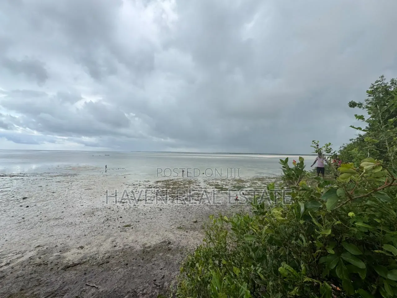 Beach Plot for Sale at Zanzibar