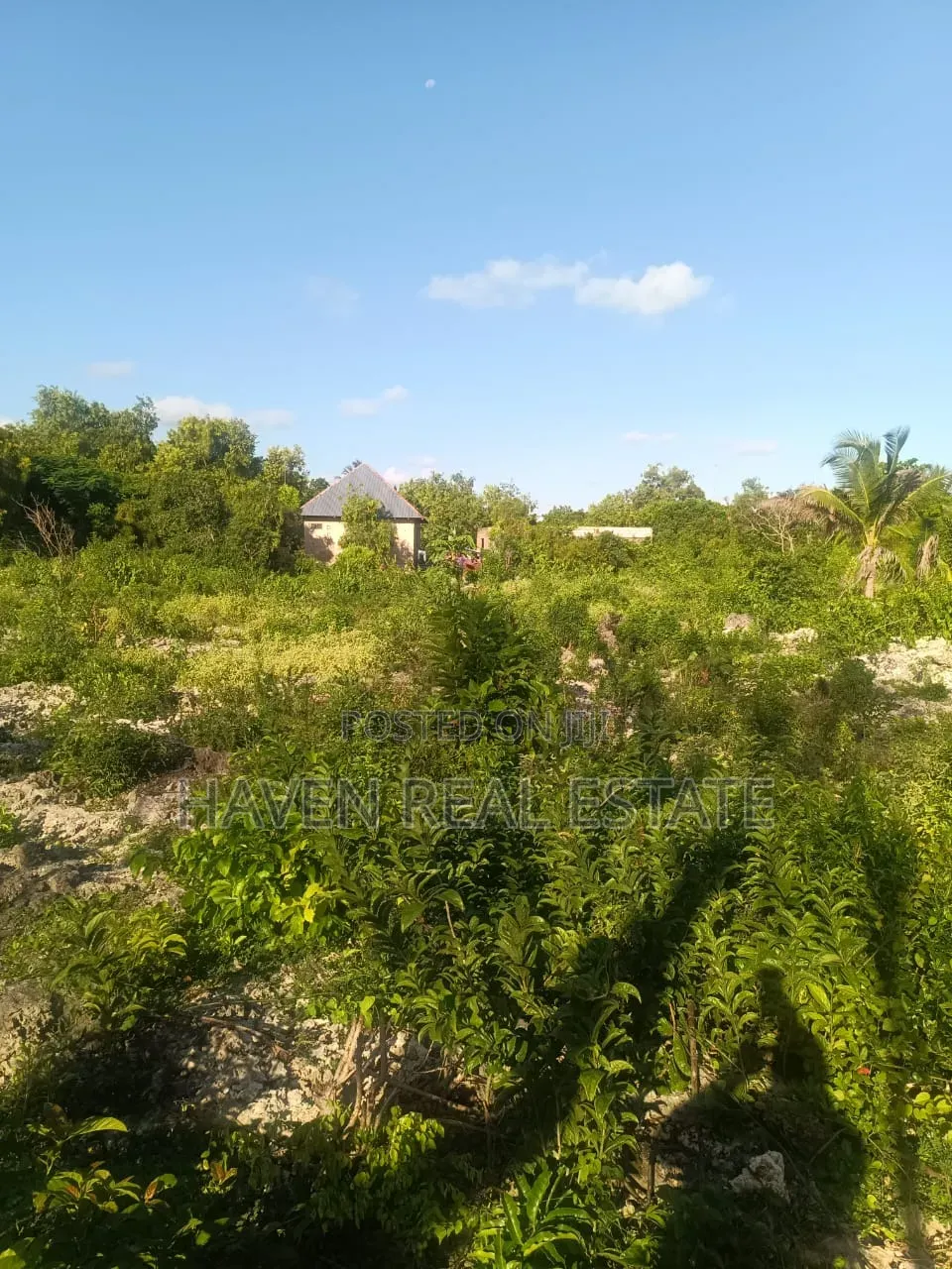 Plot for Sale at Paje Zanzibar