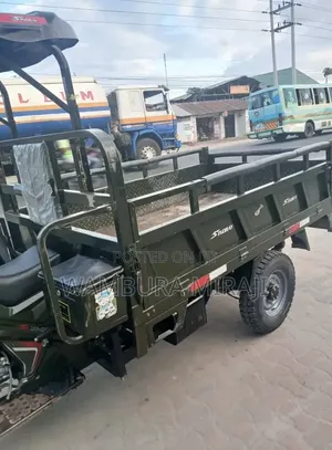 New Bajaj Boxer X125 2025 Green