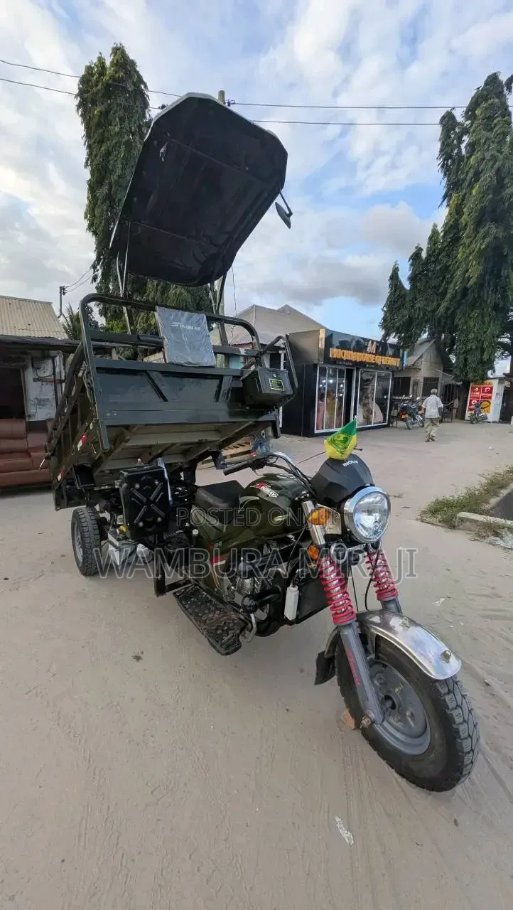New Bajaj Boxer X125 2025 Green