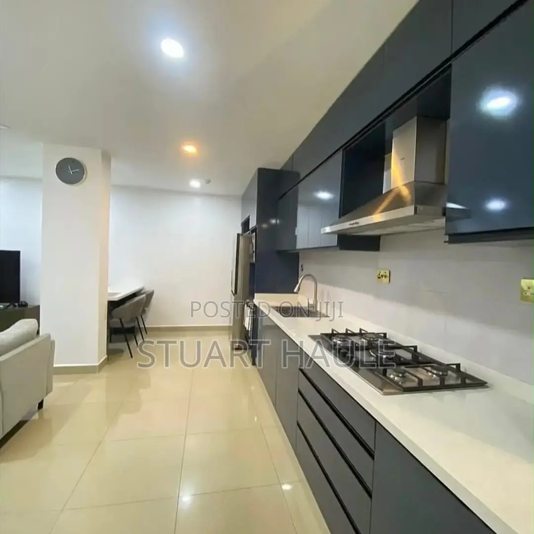 Furnished 2bdrm Apartment in Stu Estate, Upanga East for rent
