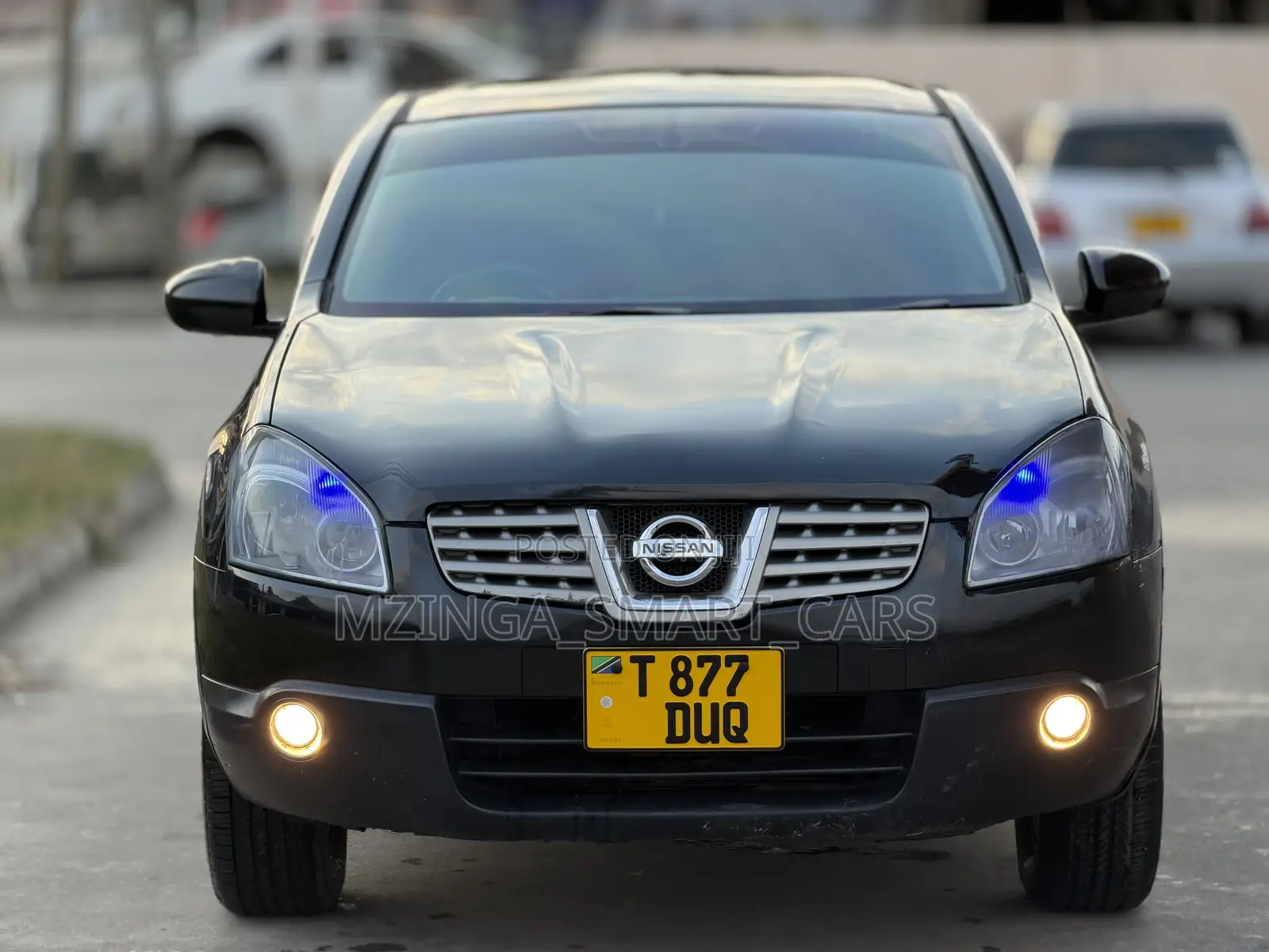 Nissan Dualis 2010