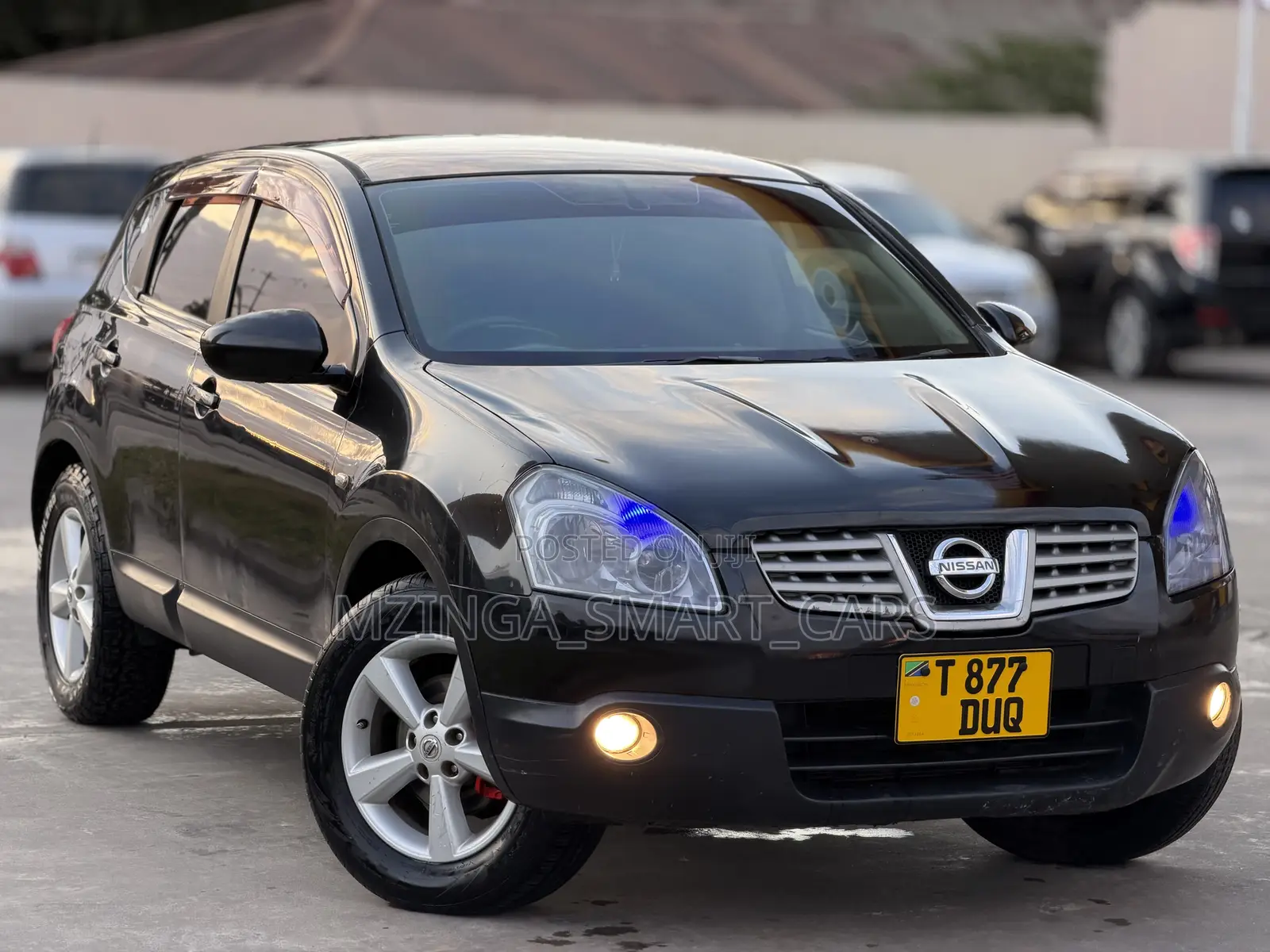 Nissan Dualis 2010