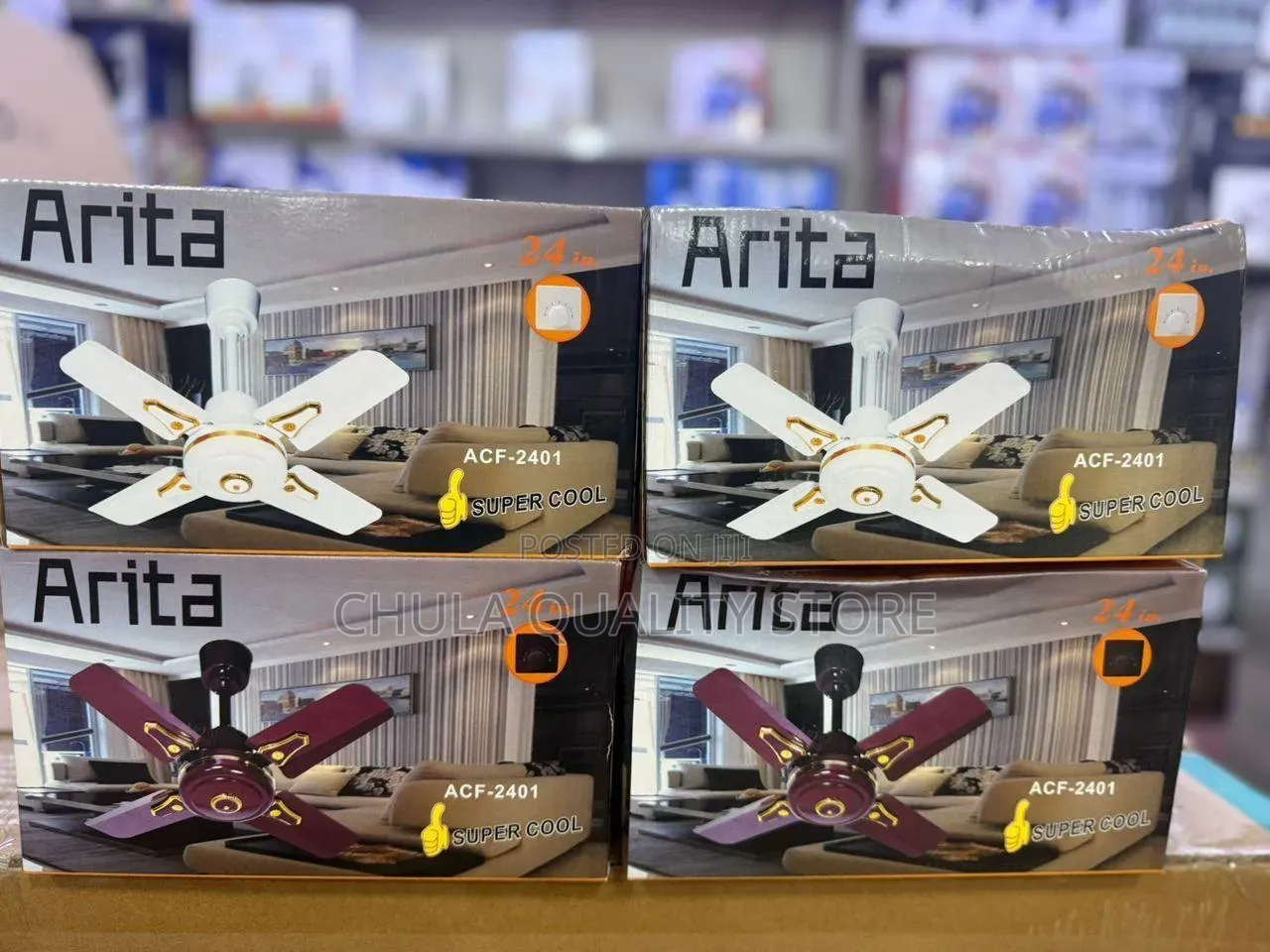 Arita Feni Size 24