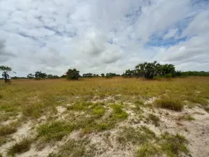 Kiwanja Kinauzwa Kigamboni Kisarawe 2
