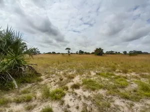 Kiwanja Kinauzwa Kigamboni Kisarawe 2