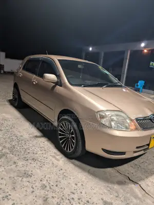 Toyota Wish 2013 Brown