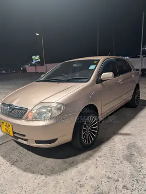 Toyota Wish 2013 Brown