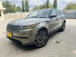 Rover 220 2020 Gray