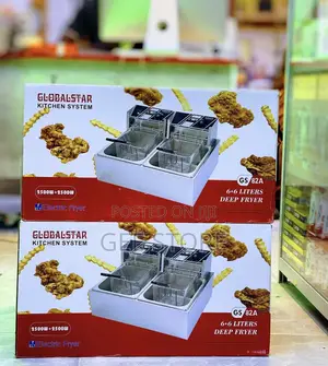 Global Star Deep Fryer