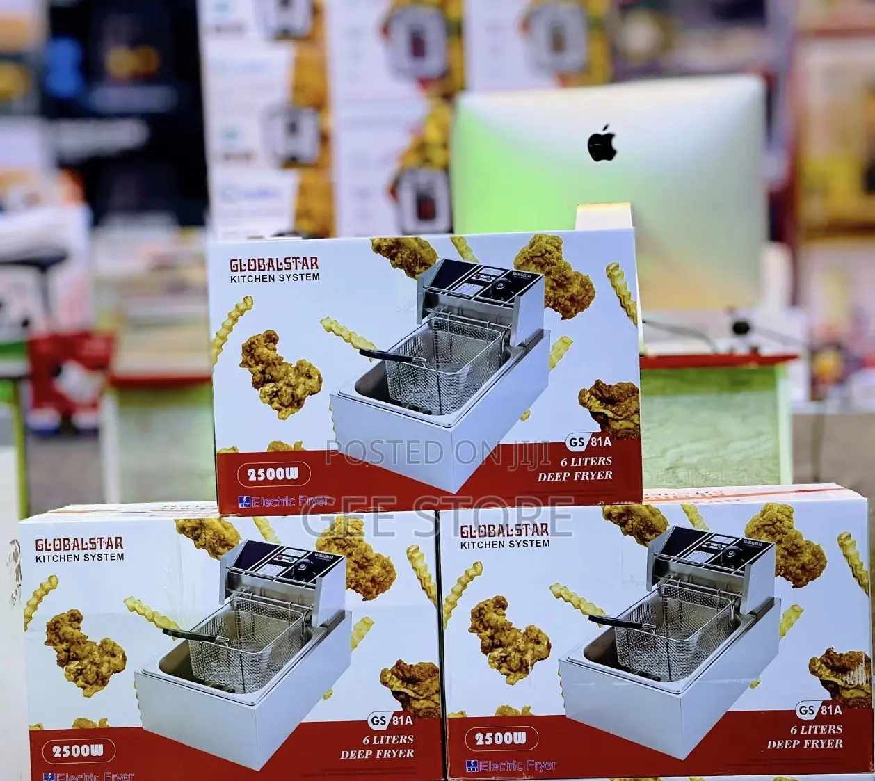 Global Star Deep Fryer