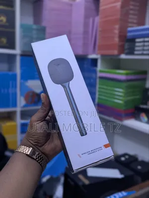 Microphone Stick