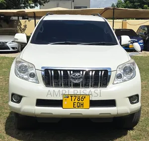 Toyota Land Cruiser Prado 2010 Silver