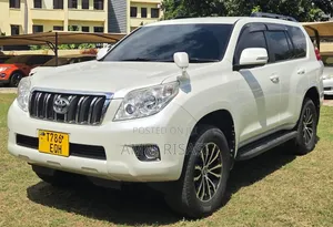 Toyota Land Cruiser Prado 2010 Silver