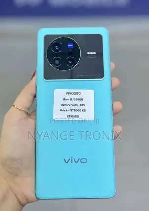 Vivo X80 256 GB Blue