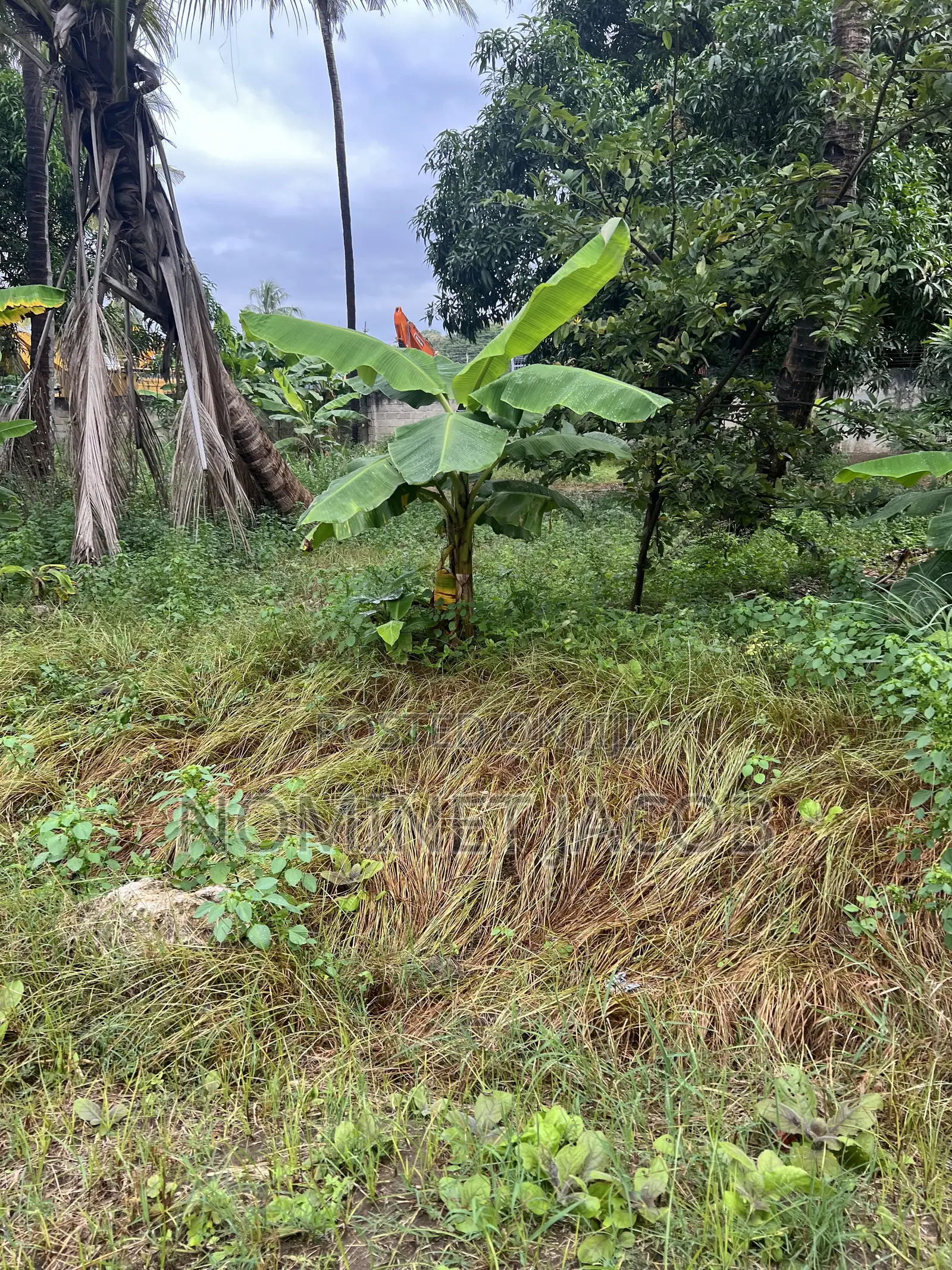 Plot for Sale