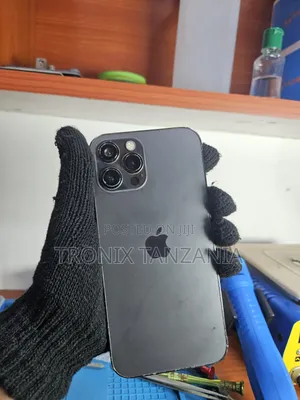 Apple iPhone 12 Pro Max 256 GB Gray