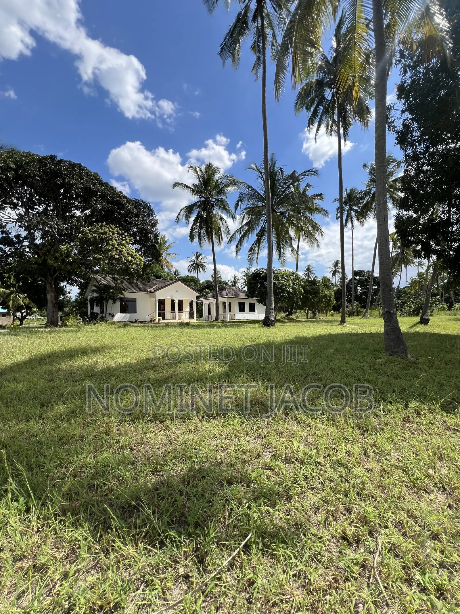 Plot for Sale