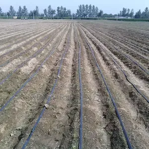 Agricultural Feed Tape