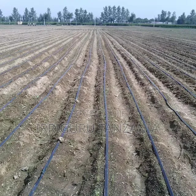 Agricultural Feed Tape