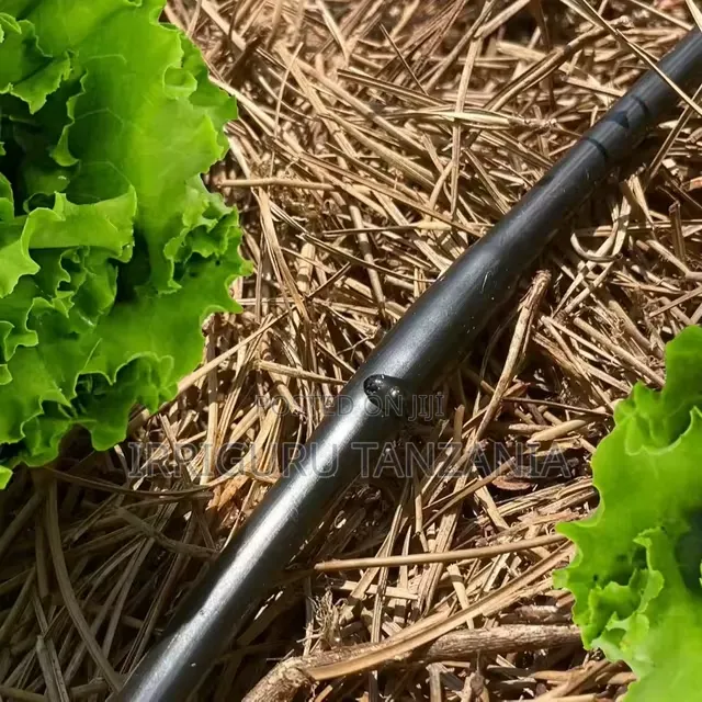 Drip Distribution Tape