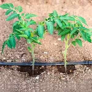 Smart Irrigation Tape