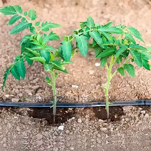 Smart Irrigation Tape