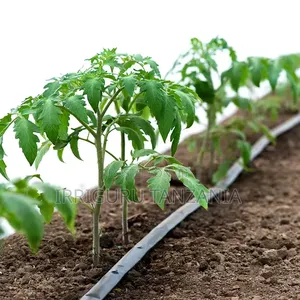 Drip Irrigation Ribbon