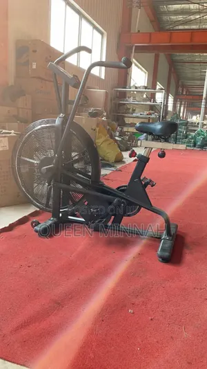 Exercise Air Bike/Assault Air Bike