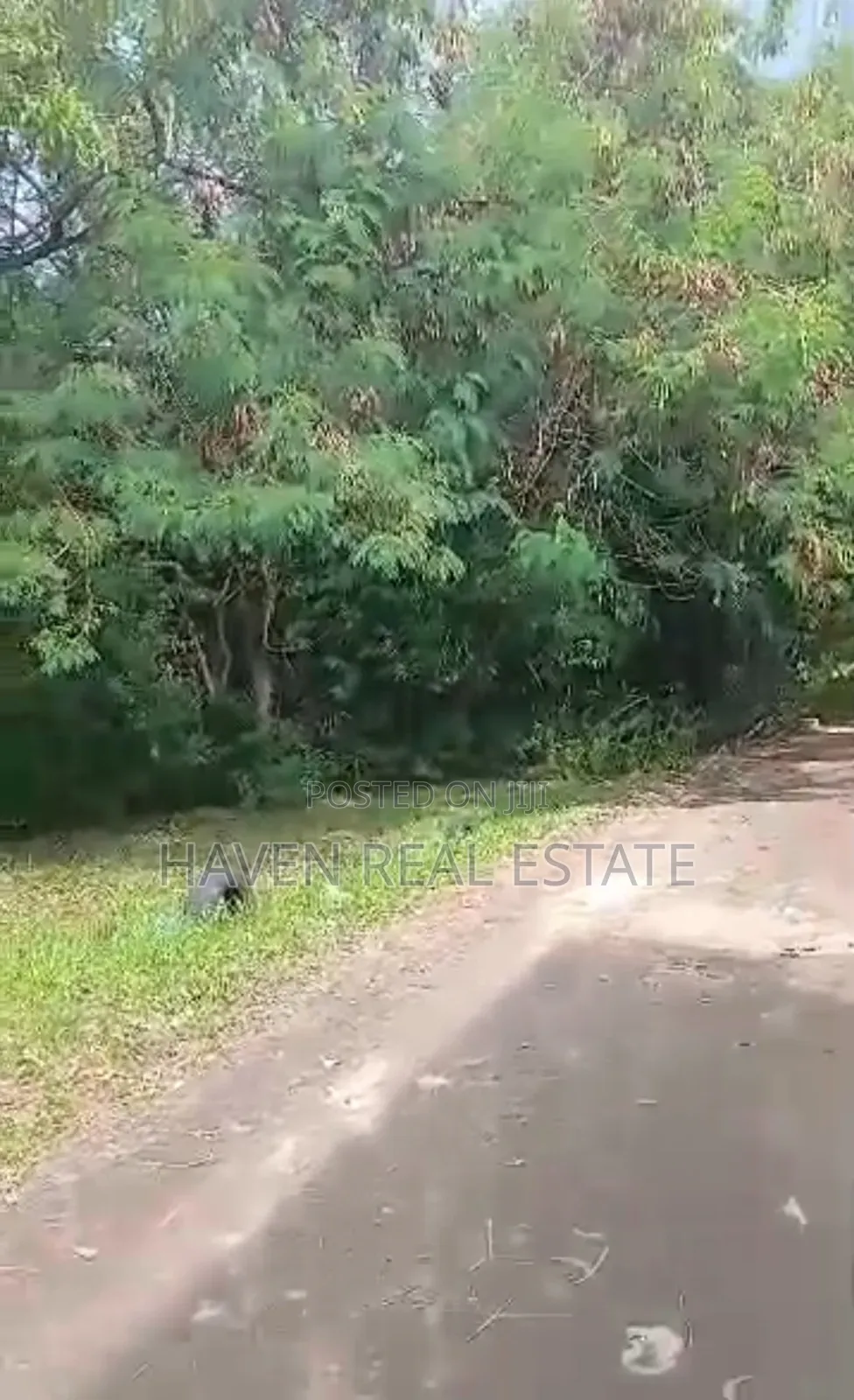 1acre Plot Inayotizama Lami Inauzwa Tabata