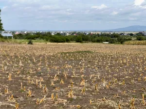 Commercial Plot Inayogusa Lami Inauzwa Moshi