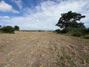 Commercial Plot Inayogusa Lami Inauzwa Moshi