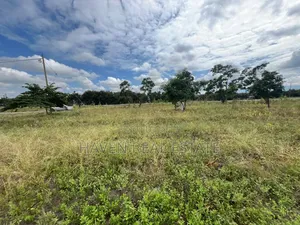 Commercial Plot Inayogusa Lami Inauzwa Moshi