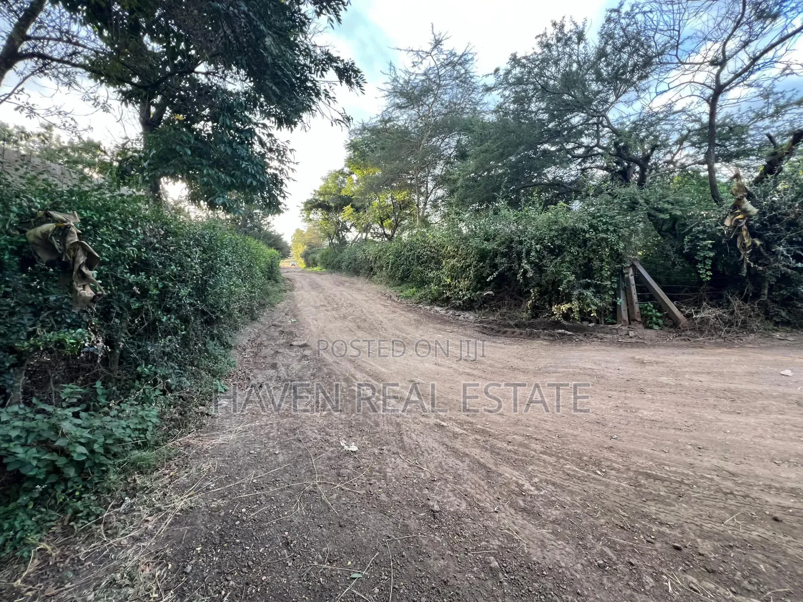 3 Acres Investment Property for Sale at Arusha